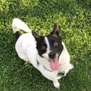 Meet your Posher, Christine